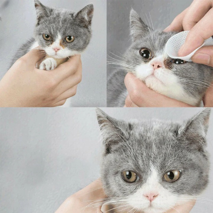FreshEyes PetCare – Milde Reinigingspads voor Schone en Gezonde Dierenogen