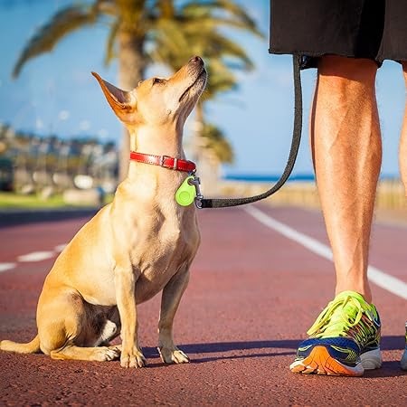 PawTrack GPS Pet Tracker | Uniek Ontwerp | Bluetooth | Zoekertje voor kleine artikelen