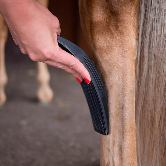 NobleShine | 6-in-1 paardenborstel - Ultieme verzorging voor jouw paard