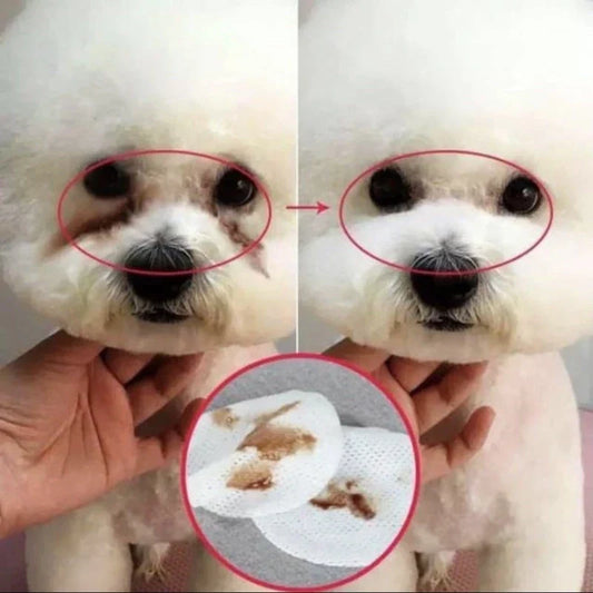 FreshEyes PetCare – Milde Reinigingspads voor Schone en Gezonde Dierenogen
